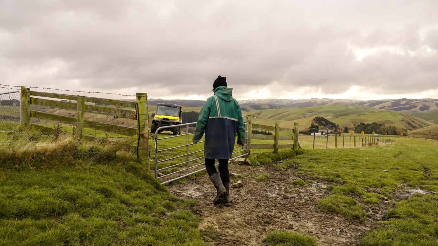 652603 0624 clutha sarahs farm 37 web size 1920px v2