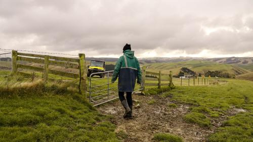 652603 0624 clutha sarahs farm 37 web size 1920px v2