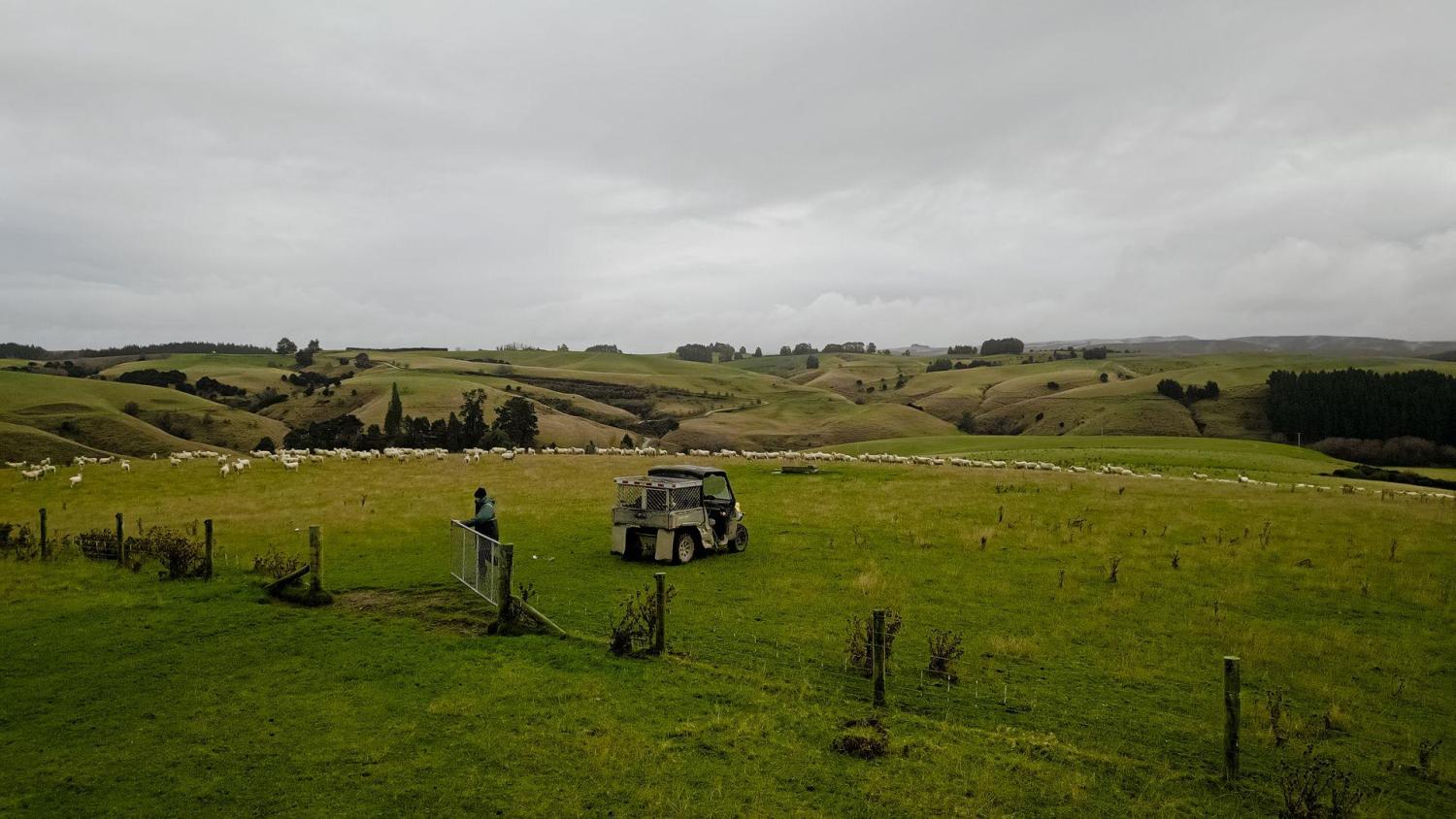 652652 0624 clutha sarahs farm 73 web size 1920px