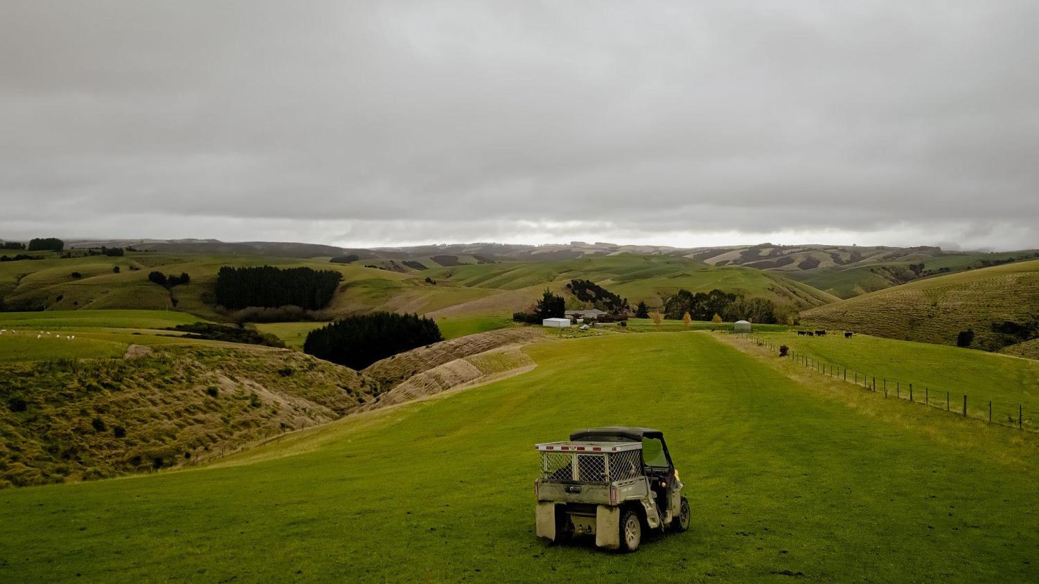 652656 0624 clutha sarahs farm 69 web size 1920px