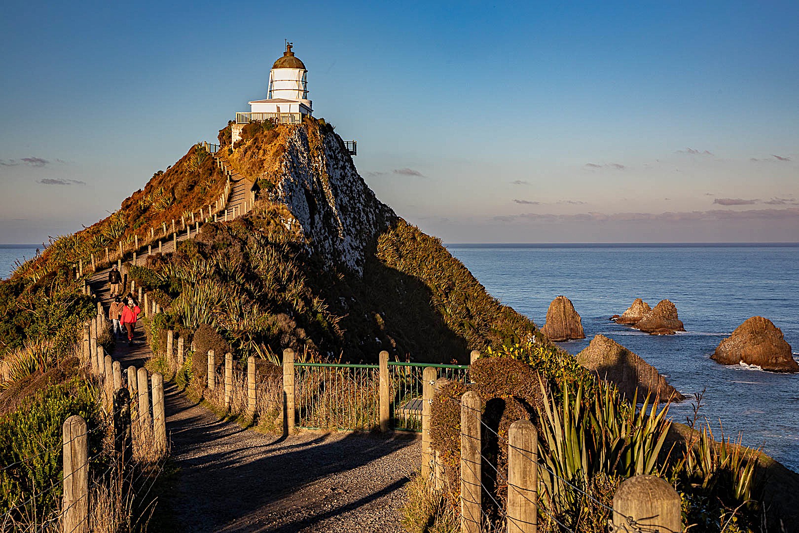 865714 nugget point 1 of 1