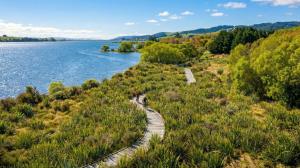 825108 clutha gold trail lake waihola spring 2025 credit brook sabin 6 web size 1920px