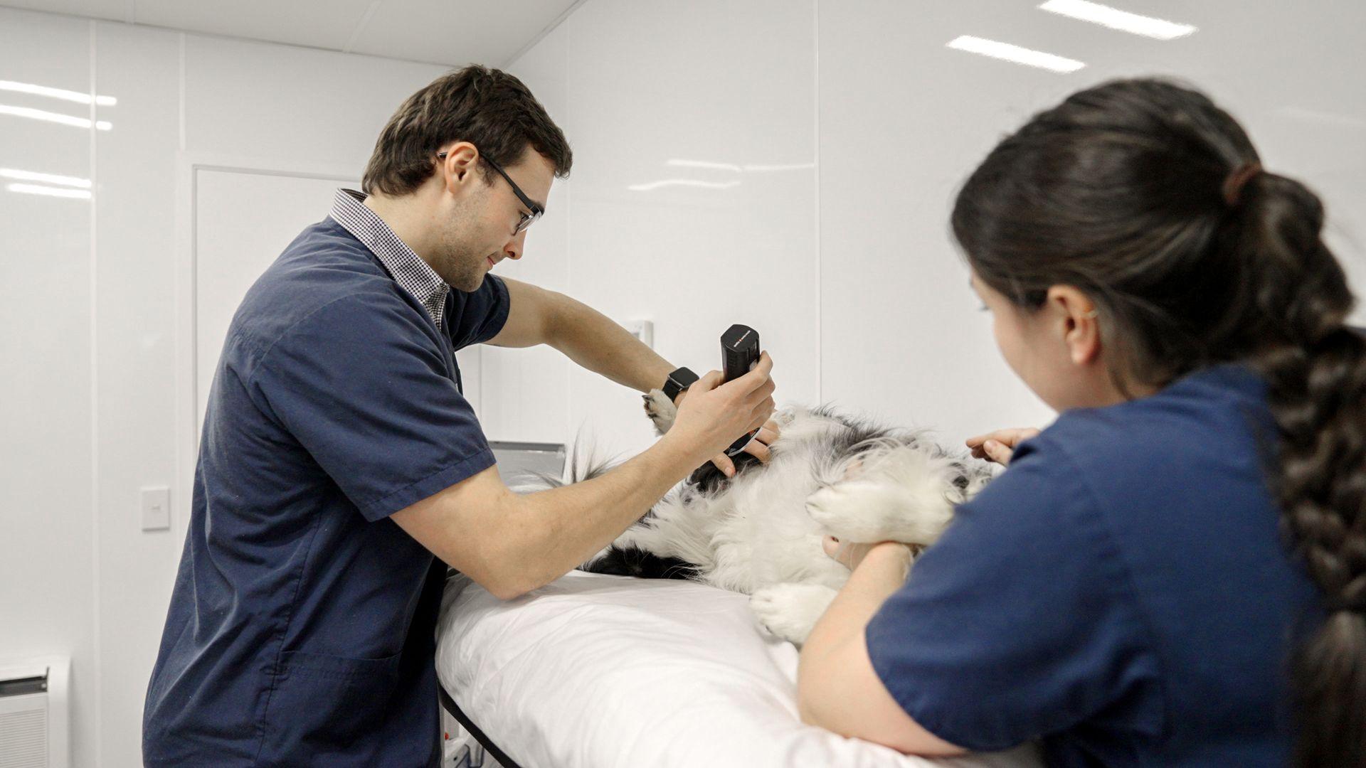 651947 0624 clutha vets balclutha 15 web size 1920px